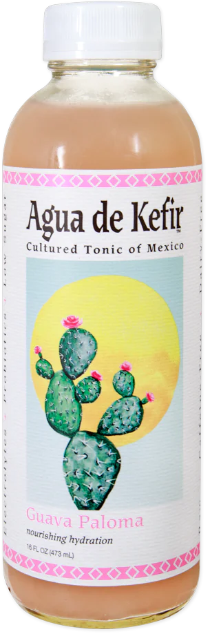 GT's Guava Paloma Agua de Kefir, 473mL